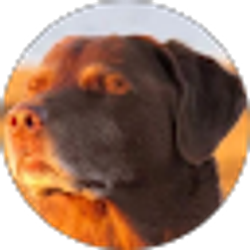 Profile photo of Elianna Auer