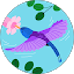 Profile photo of Sandy Orr