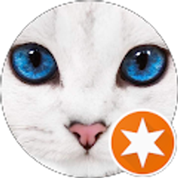 Profile photo of Curious Cat 1920