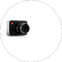 Profile photo of STEVEN QUINN