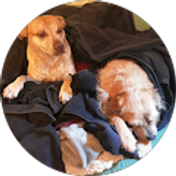 Profile photo of NJSHORE GREEK