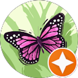 Profile photo of Delisa