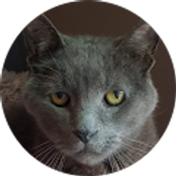 Profile photo of Maureen Wilsey