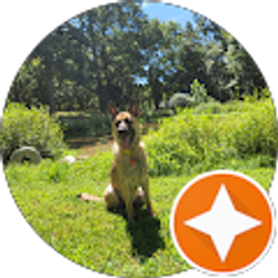 Profile photo of We love dogs