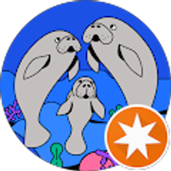 Profile photo of Amy Wells