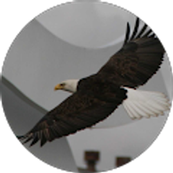 Profile photo of John McSharar