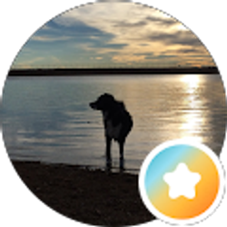 Profile photo of Kayla Anderson