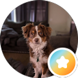 Profile photo of Kim