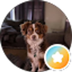 Profile photo of Kim