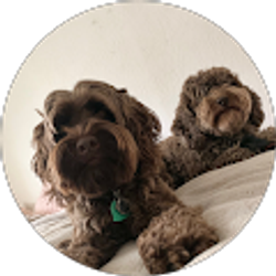 Profile photo of Nina Cortes