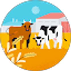 Profile photo of Kelly Vallejo