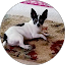 Profile photo of Clara Cash