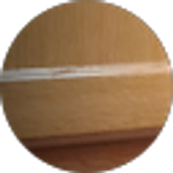 Profile photo of Debbie Gonzales
