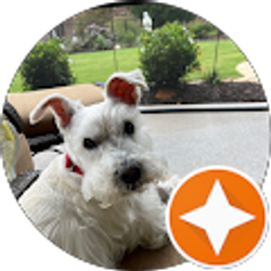 Profile photo of patsy mcdonough