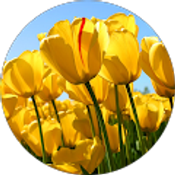 Profile photo of Mohamed Mohamed