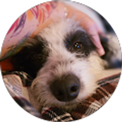 Profile photo of Amanda Wallace