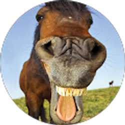 Profile photo of Shannon Marie