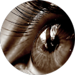 Profile photo of Lion Judin