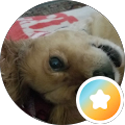 Profile photo of Brig Lan
