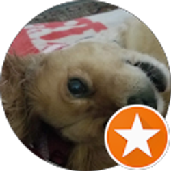 Profile photo of Brig Lan
