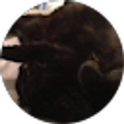 Profile photo of Mike Scifres