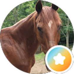 Profile photo of Paulette Ross