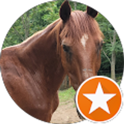 Profile photo of Paulette Ross