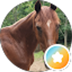 Profile photo of Paulette Ross