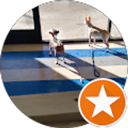 Profile photo of Tony Flor