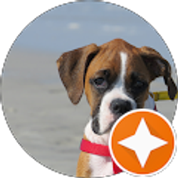 Profile photo of Marji Evans