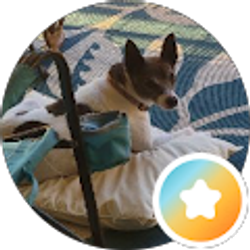 Profile photo of Ricky Queen