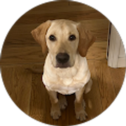 Profile photo of Kacey Hansen