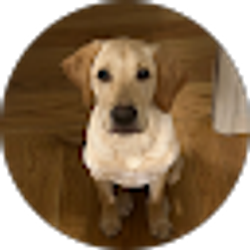 Profile photo of Kacey Hansen