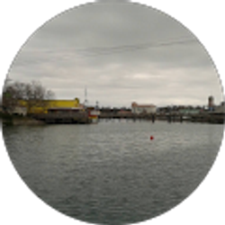 Profile photo of Ana