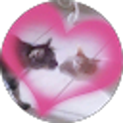 Profile photo of Lia__he