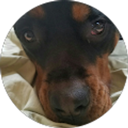 Profile photo of brandon Mentrasti