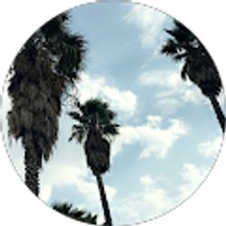 Profile photo of PineEple