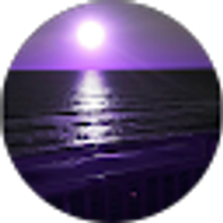Profile photo of M C