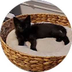 Profile photo of Jennifer Rooth