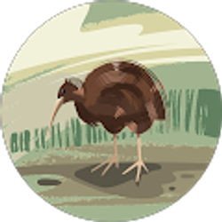 Profile photo of Juan Carlos