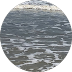 Profile photo of Lady Owners