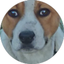 Profile photo of cscites 123