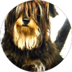 Profile photo of Janet Roslund