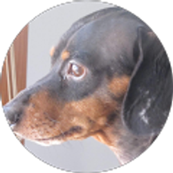 Profile photo of D H Kingry