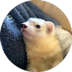 Profile photo of Jie Guo