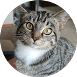 Profile photo of Angelina Latimer