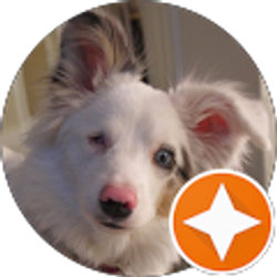 Profile photo of Edward Krufky