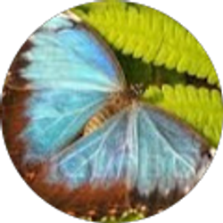 Profile photo of delinda beaty