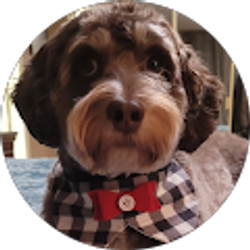 Profile photo of Brandt Karstens