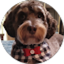 Profile photo of Brandt Karstens